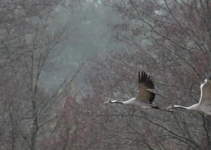Mazurski Całoroczny Nad Jeziorem Z Jacuzzi Dom wakacyjny *